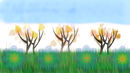 nature-park