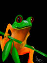 meet-mrfroggy