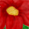 flower-power by Ovi