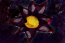 flower-in-the-storm
