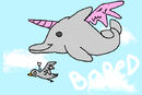 dolphins