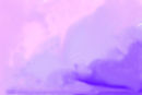 pink-purple