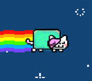 nyan-amp