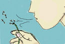 blow-gently