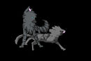 jayfeather-and-cinderh