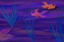 more-fish more-fish