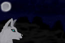 moonlight