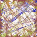 nw-07-21-2011-d