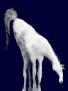 ice-horse-2