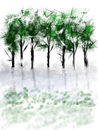 green-deciduos- green-deciduos-