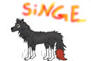 singe