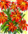 explosive-red-flowers