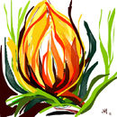 just-a-webtulip