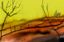 desert-01-preparing