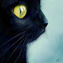 blackat