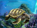 sea-turtle sea-turtle