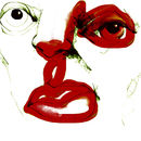 face-the-left