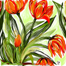 a-bunch-of-tulips a-bunch-of-tulips