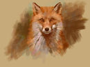 the-quick-red-fox