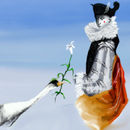copy-of-m-parkes-swan-