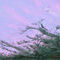 sky-from-balcony by rajibc
