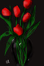 tulips-4-kute tulips-4-kute