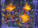 flowers-of-water-and-f