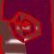 flower by isaac