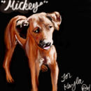 mickey-for-kayla