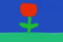 tulip