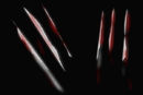 bloody-claws