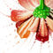 flowes-soul by fadwaangela