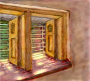 window-i-see-out