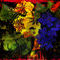 flores-granada by gabyconstanza