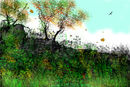 turning-colours