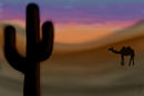 desert-dawn desert-dawn