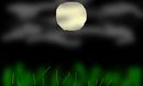 silent-night