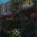 around-the-wall-outsid