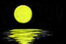 untitled-1