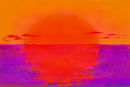 untitled-1
