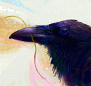 raven-snow raven-snow