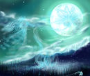 -claire-de-lune- -claire-de-lune-