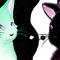 ying-and-yang by nowbody