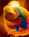 phoenix phoenix