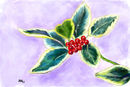 ilex-aureamarginata