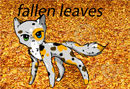fallen-leaves
