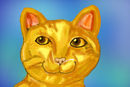 cat-2
