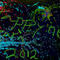 happy-new-year by fannytyt