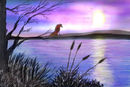 lakeside