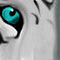 tiger by sk8terprep